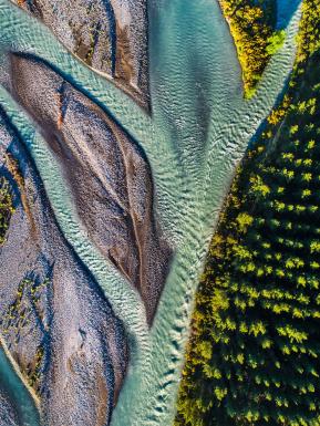 View of river branching over carrying brine coloured water with trees in view.