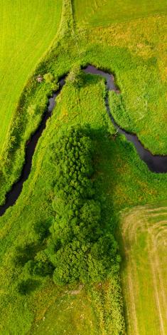 Birds eye view of a stream winding around greenery