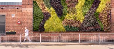 50 metre square living wall at Bentley Headquarters in Crewe featuring 2,680 plants in total from different species of ferns, grasses and evergrees, with a man walking in view.