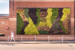 50 metre square living wall at Bentley Headquarters in Crewe featuring 2,680 plants in total from different species of ferns, grasses and evergrees, with a man walking in view.