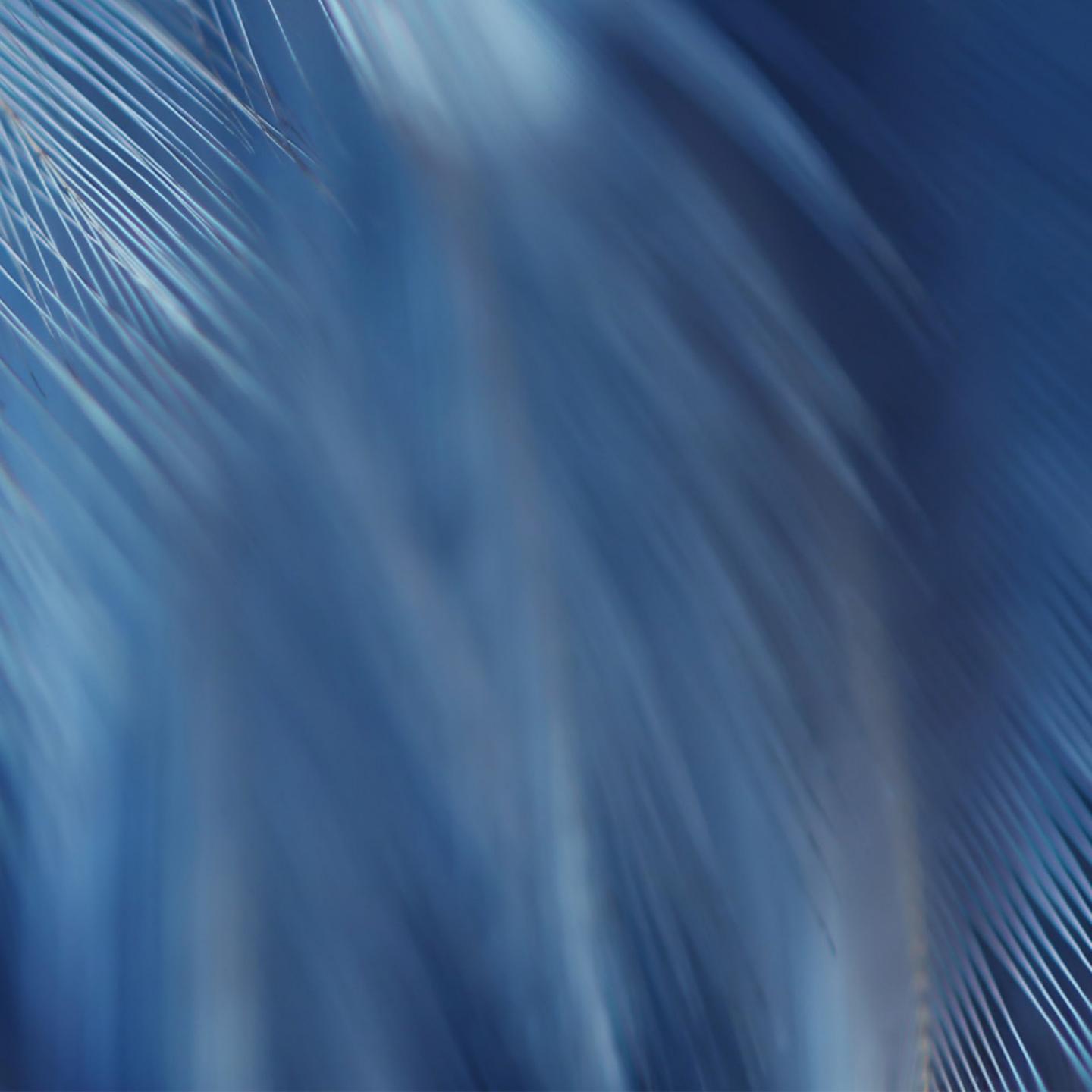 Footer Background bottom block.jpg