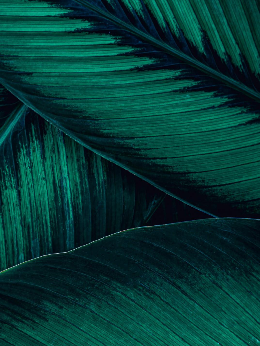 1440 x 1920 – 1.jpg