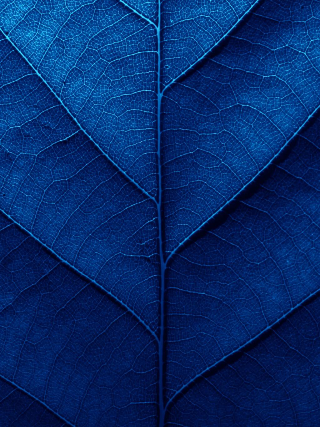 1920 x 2560.jpg