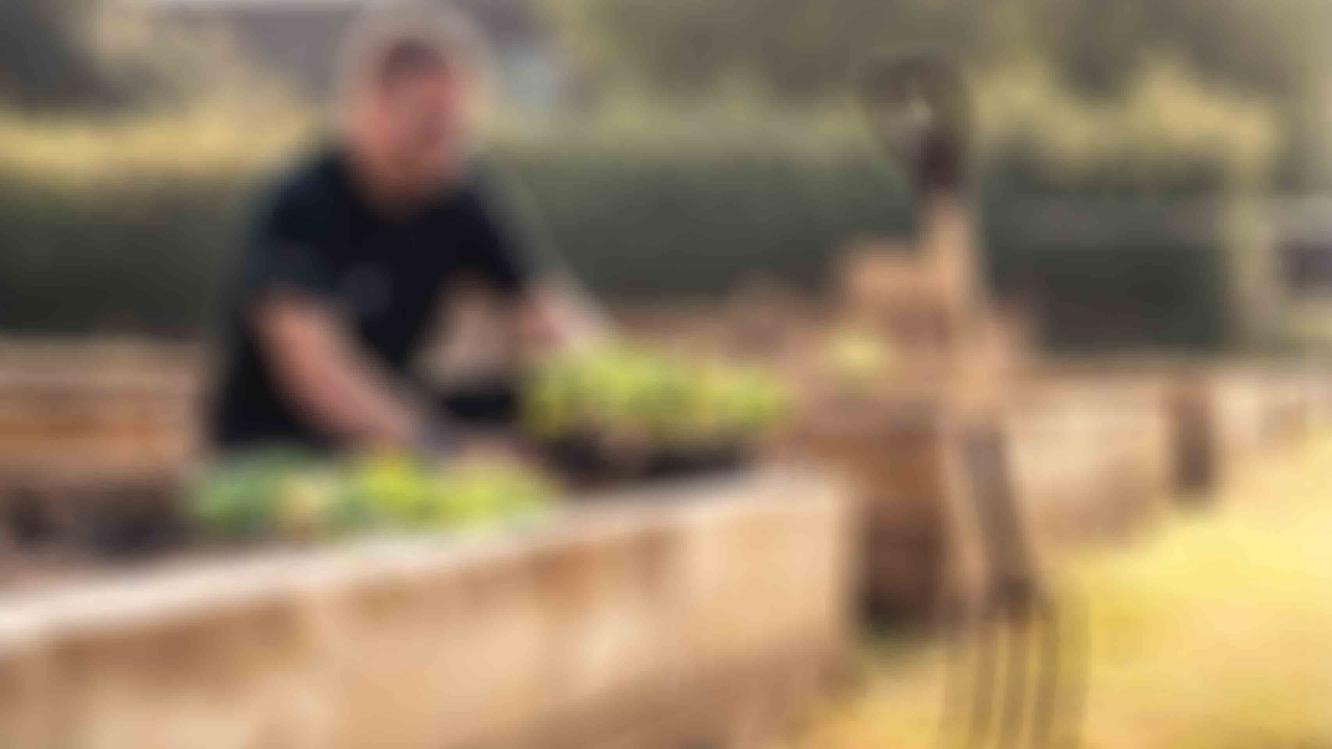 Glossed view of person gardening at Bentley's Heaquarters in Crewe, with a rake in view.  