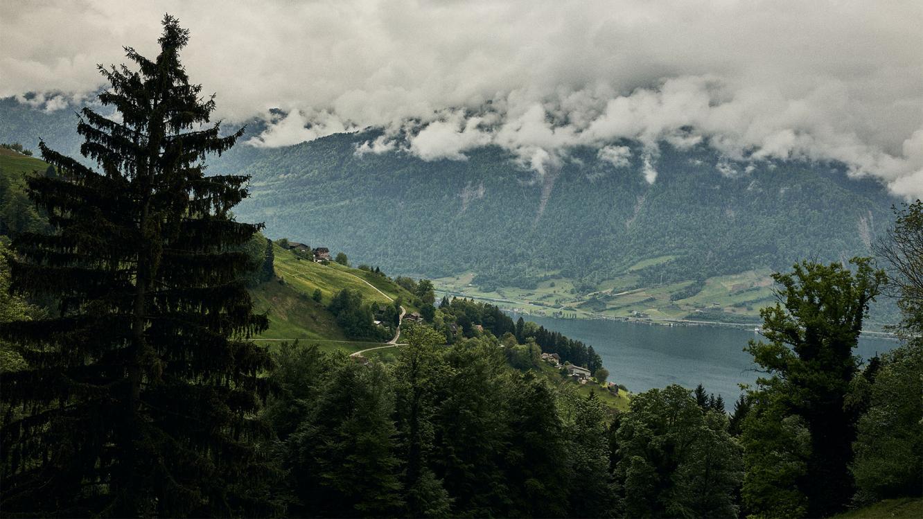 View of Lake Zug.