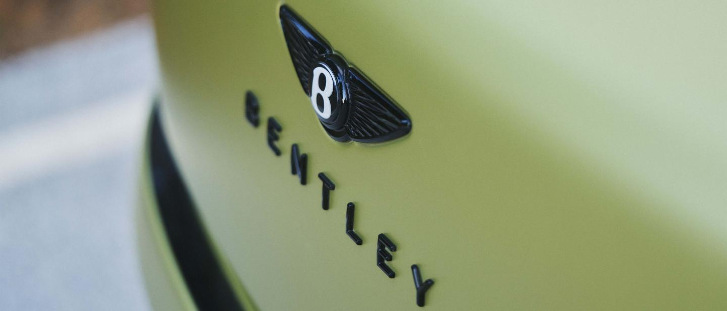 Close up of Bentley badging on Torcal boot.
