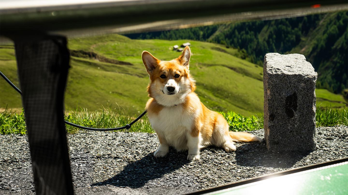 FAT Mankei 2 16x9.jpg