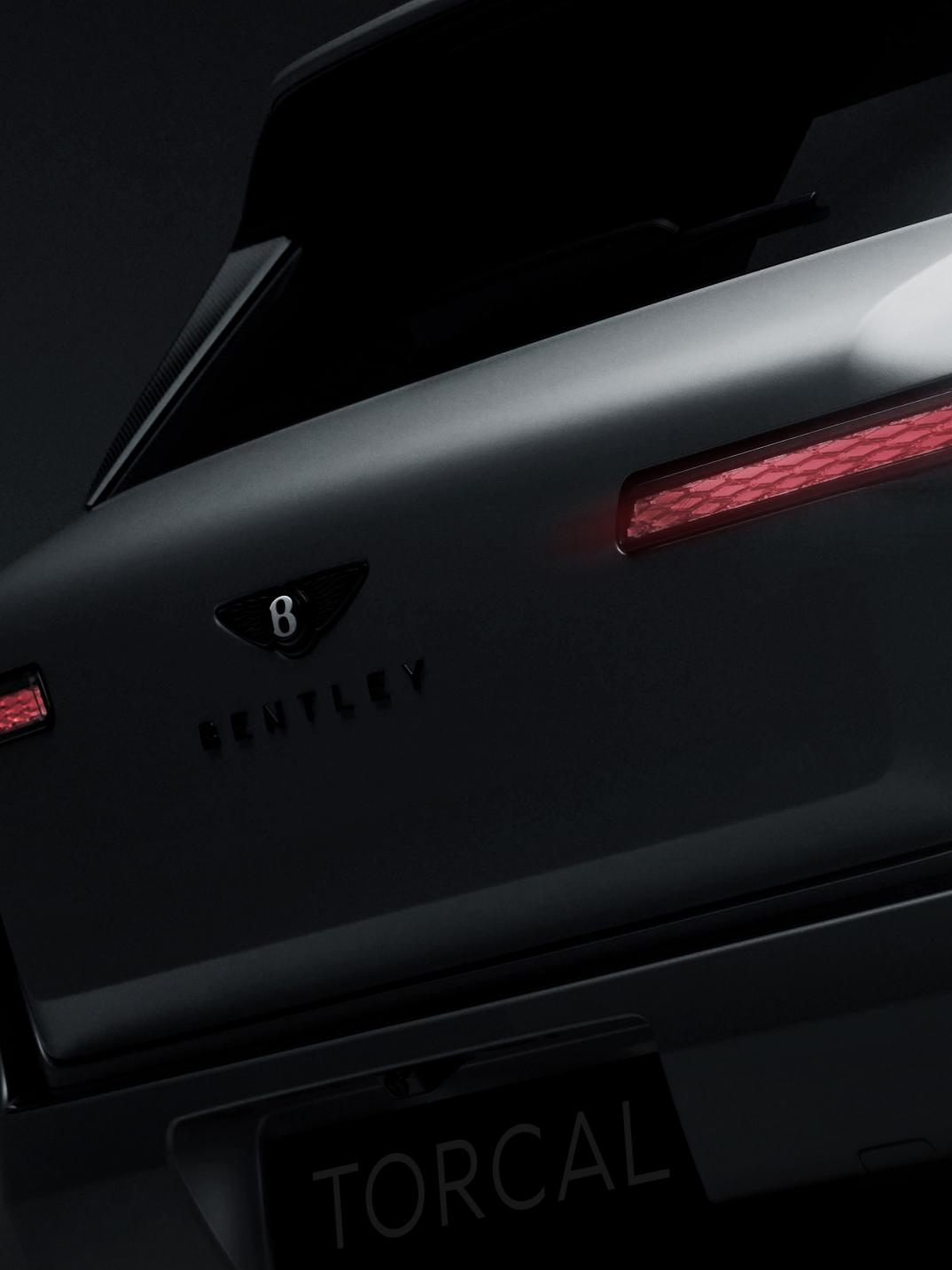 Torcal Rear 3x4.jpg