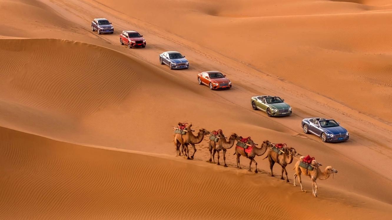 Range of Bentley cars driving through the desert with line camels