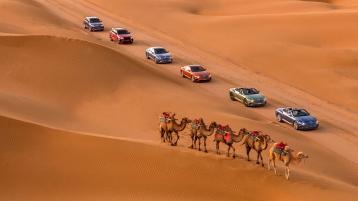 Range of Bentley cars driving through the desert with line camels