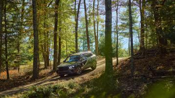 Bentley Bentayga featuring 21 inch Five Twin-Spoke Wheel - Painted,  driving downhill on offroad track with forest in backdrop