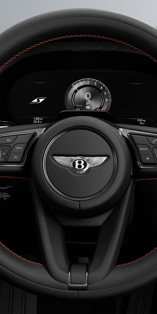 Close up of the dynamica fit steering wheel and S specific drivers display