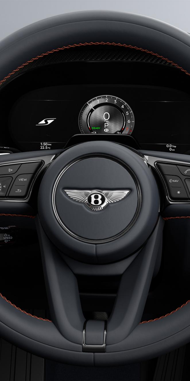 Close up of the dynamica fit steering wheel and S specific drivers display