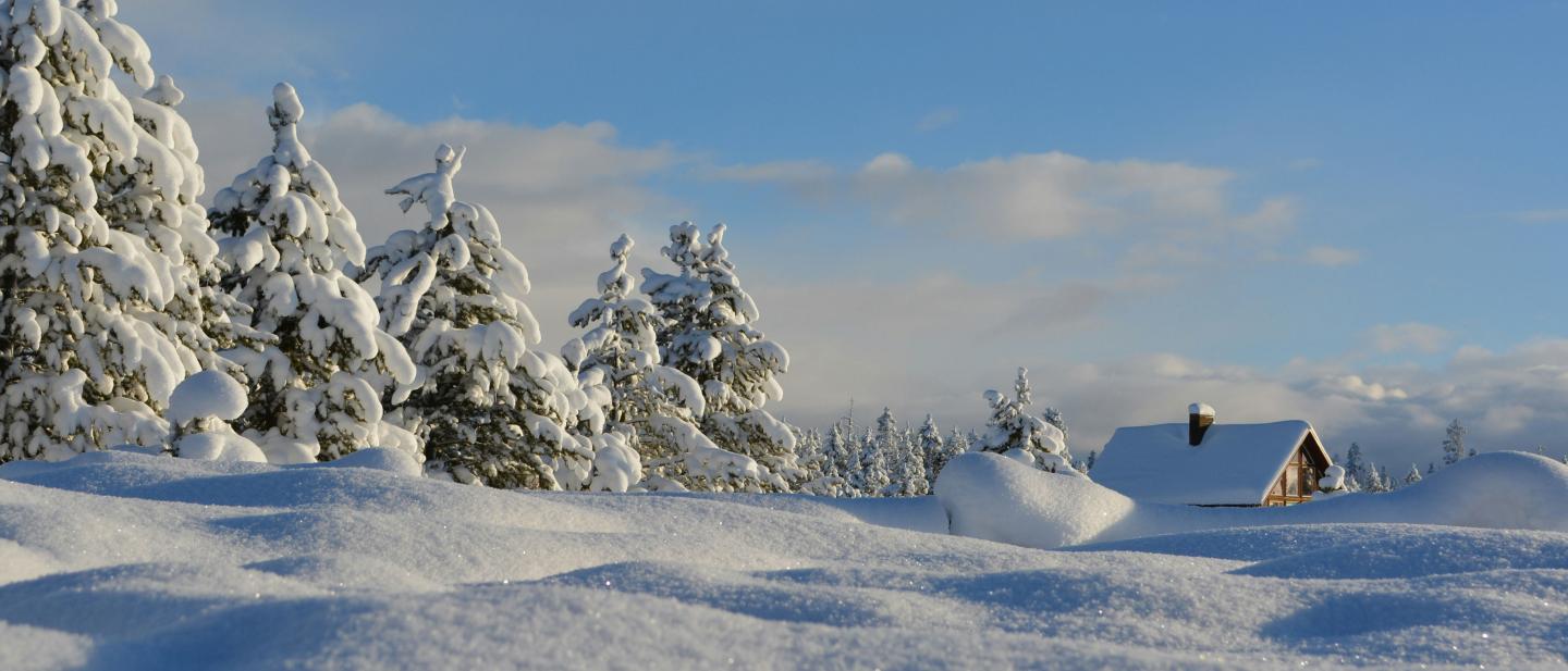 A snowy scene with a blue sky and snow covered trees.