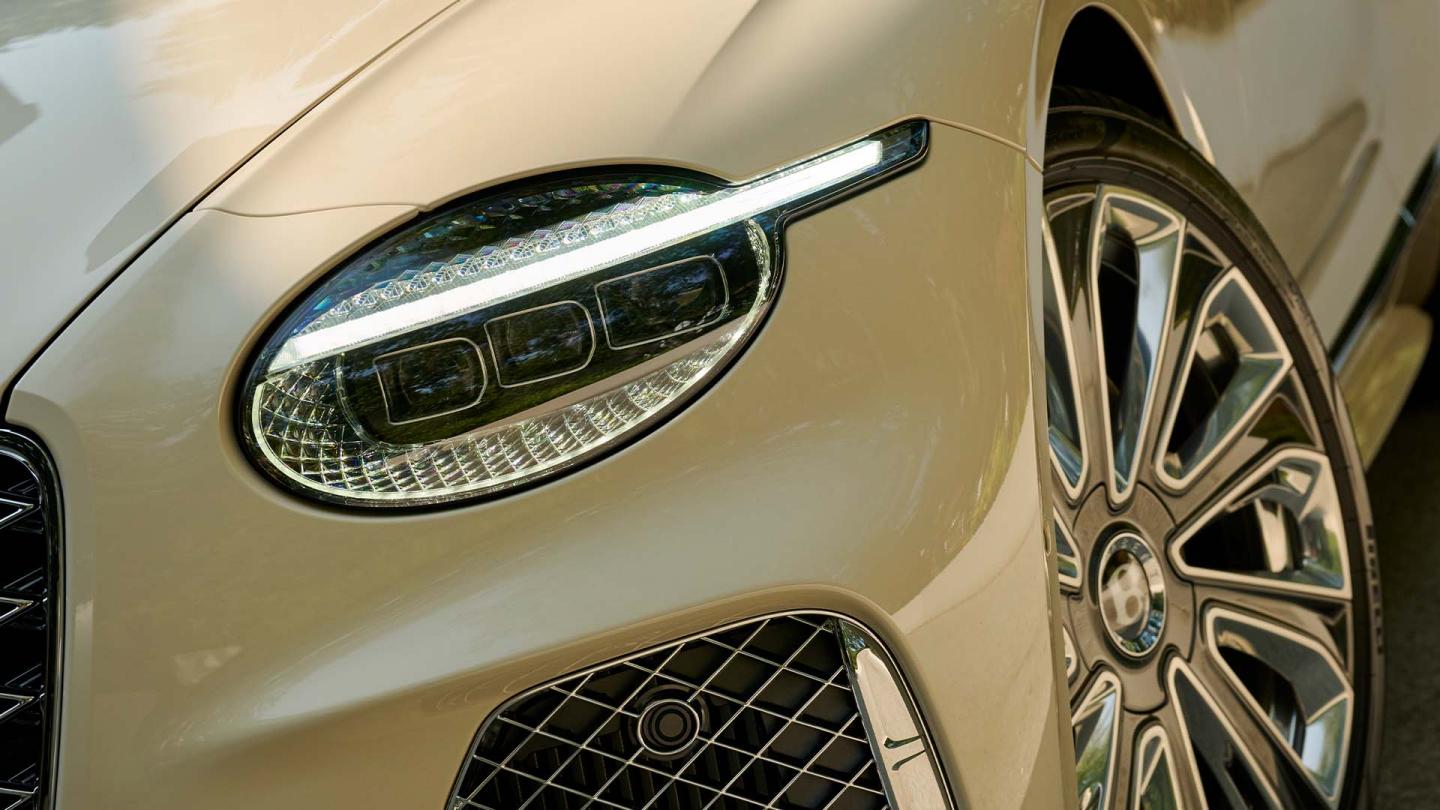 Light Whisper Gallery 3 16x9.jpg