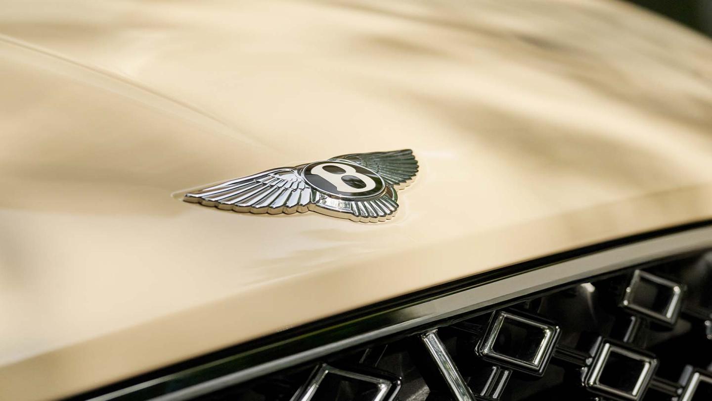 Light Whisper Gallery 4 16x9.jpg