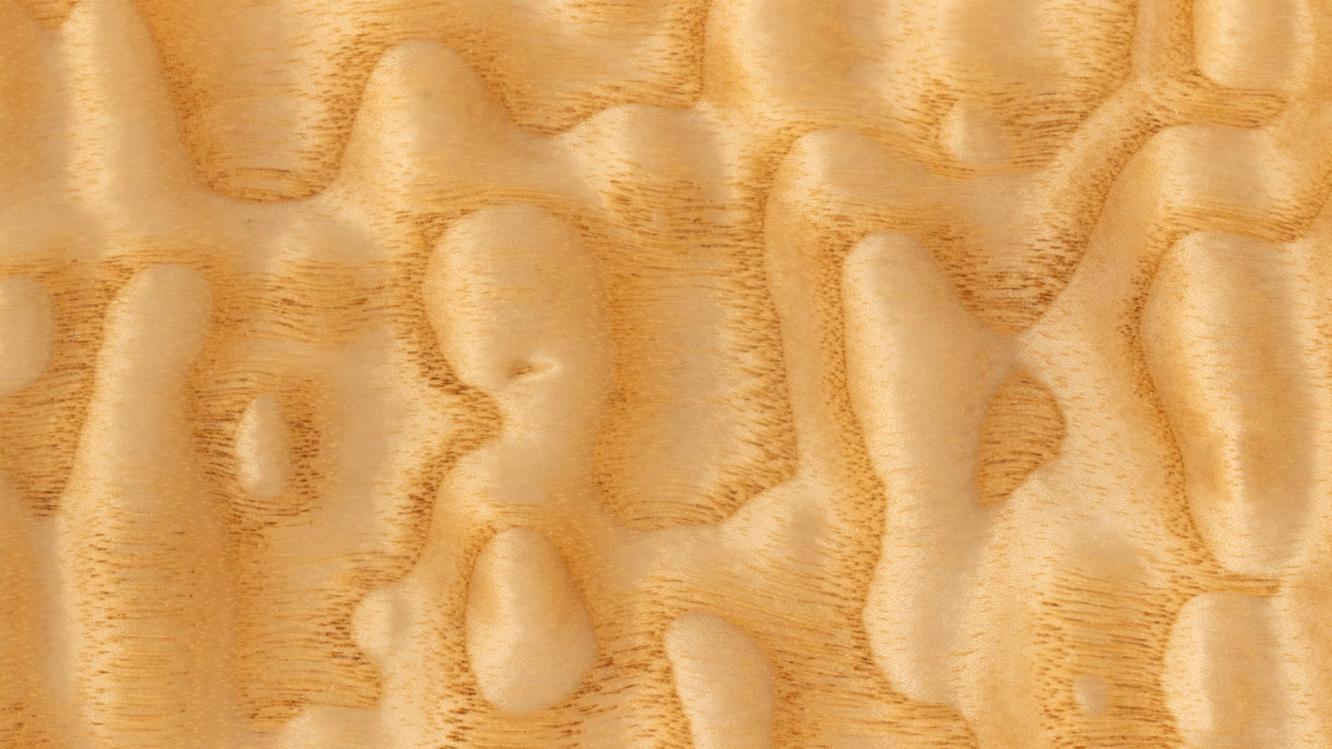 Textured view of Tamo Ash by Mulliner hide