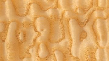 105113 texture.jpg