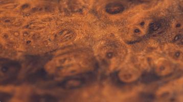 Close up Bentley Open Pore Koa Veneer