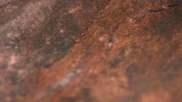 Red Stone-zoom.jpg