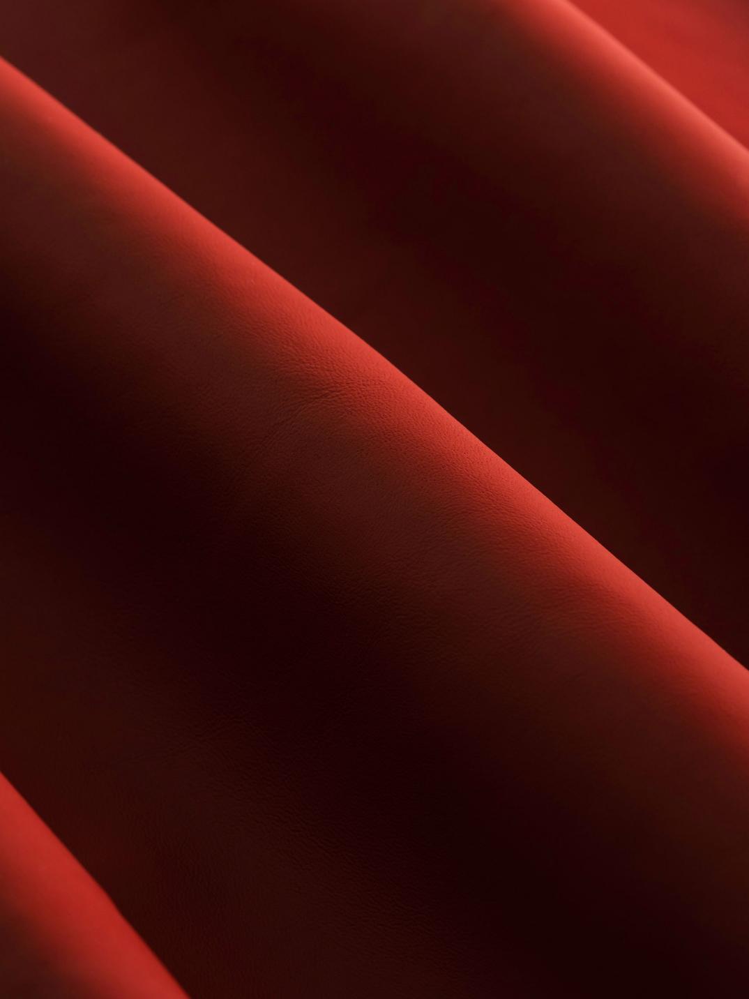 Red leather- portrait.jpg