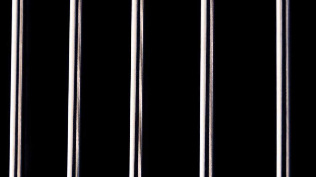 Verticle Vein Grille Landscape Teasers.jpg