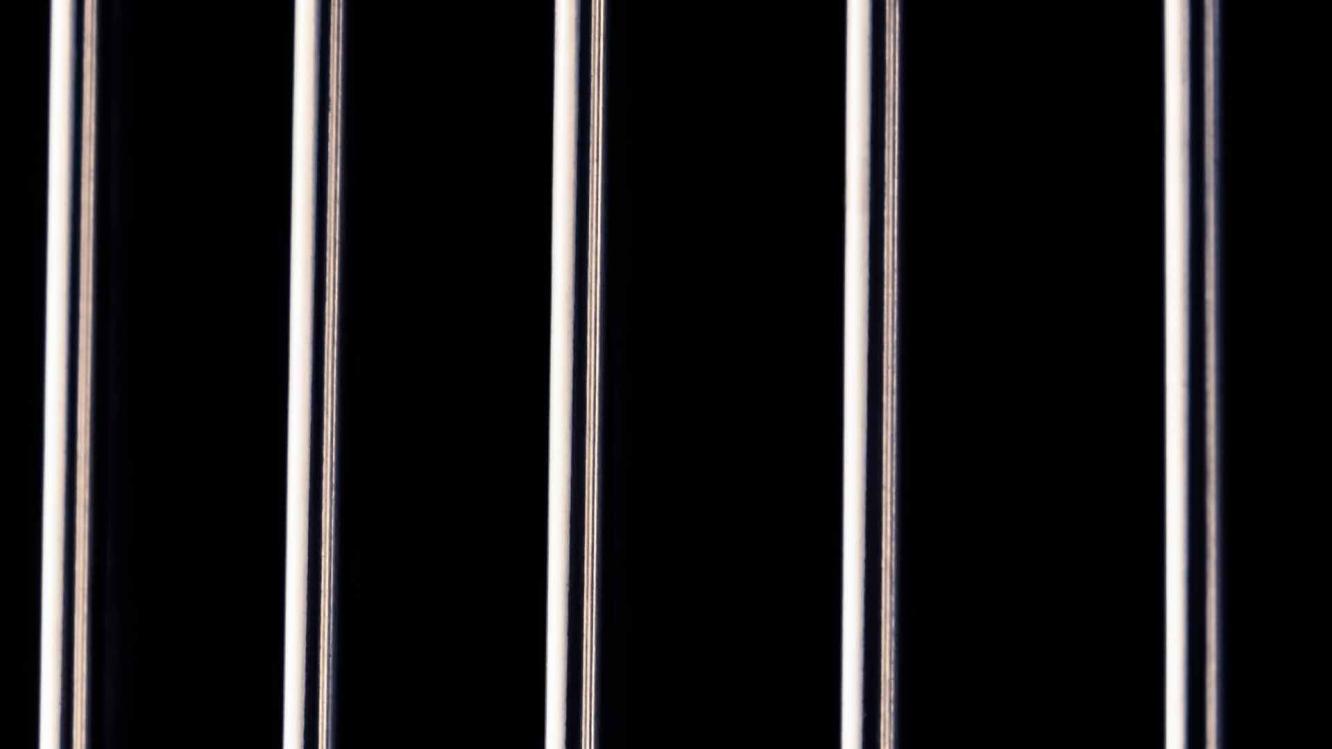 Verticle Vein Grille Landscape Teasers.jpg